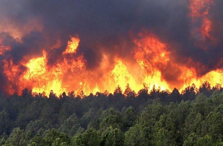 Sibirya’daki büyük yangın devam ediyor